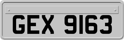 GEX9163