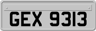 GEX9313