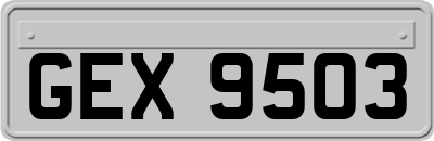 GEX9503