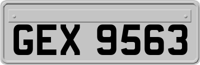 GEX9563