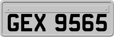 GEX9565