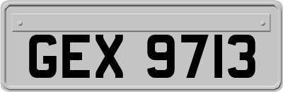 GEX9713
