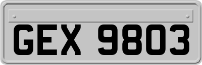GEX9803