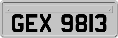 GEX9813