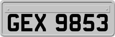 GEX9853
