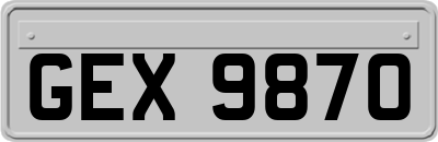 GEX9870