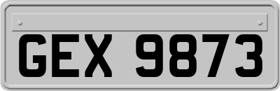 GEX9873