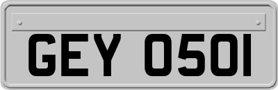 GEY0501