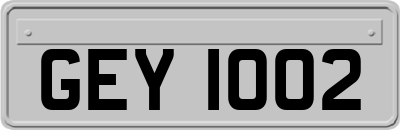 GEY1002