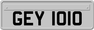 GEY1010