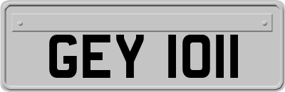 GEY1011