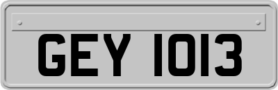GEY1013