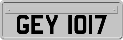 GEY1017