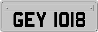 GEY1018