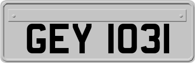 GEY1031