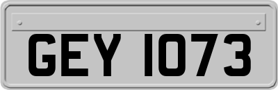 GEY1073