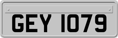 GEY1079
