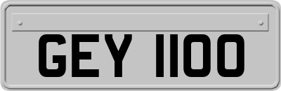 GEY1100