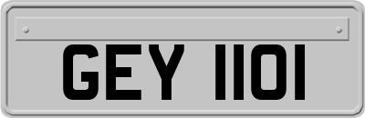 GEY1101