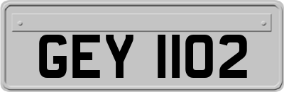 GEY1102