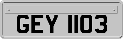 GEY1103
