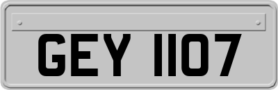 GEY1107