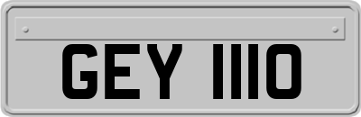 GEY1110