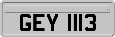 GEY1113