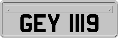 GEY1119