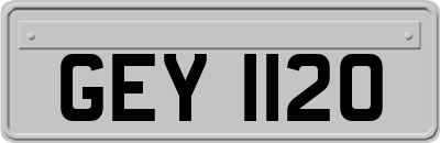 GEY1120