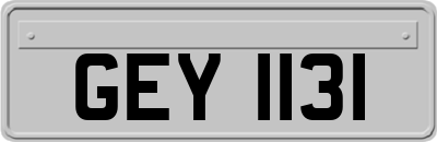 GEY1131