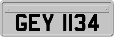 GEY1134