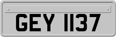 GEY1137