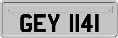 GEY1141