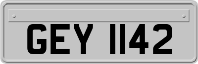 GEY1142