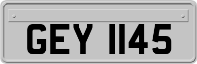 GEY1145