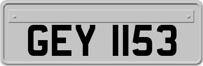GEY1153