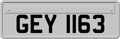GEY1163