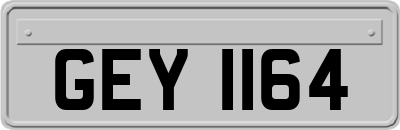 GEY1164