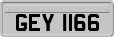 GEY1166