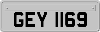 GEY1169