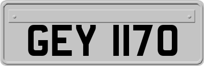 GEY1170