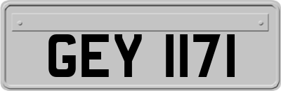 GEY1171