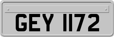 GEY1172