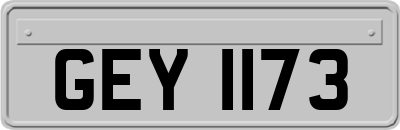 GEY1173