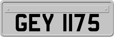 GEY1175