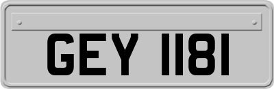 GEY1181