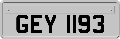 GEY1193