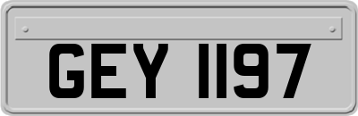 GEY1197