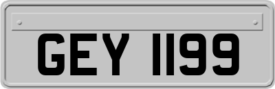 GEY1199